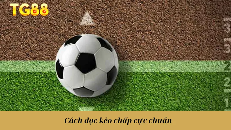 Cách đọc kèo chấp cực chuẩn