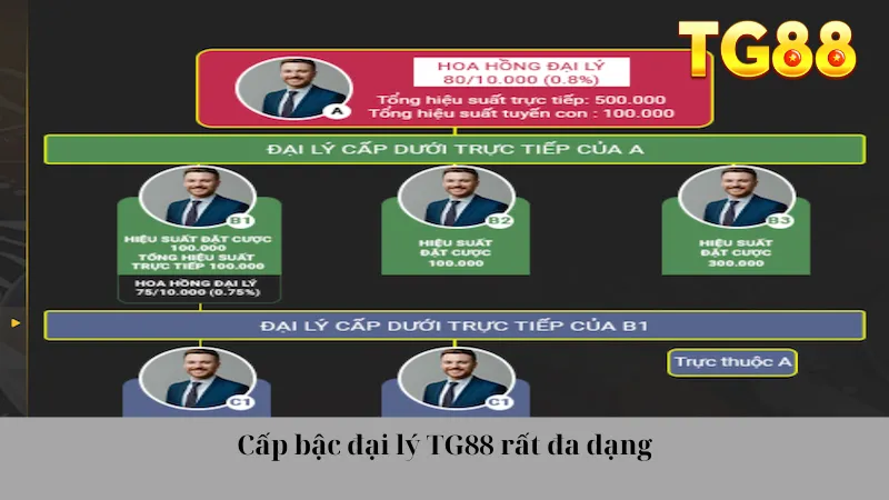 Cấp bậc đại lý TG88 rất đa dạng