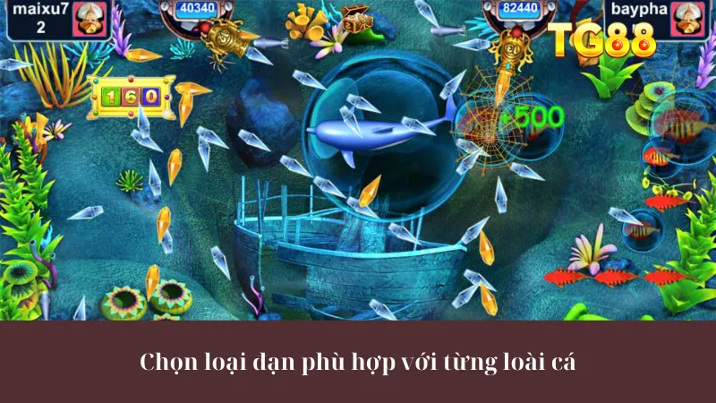 Chọn loại đạn phù hợp với từng loài cá