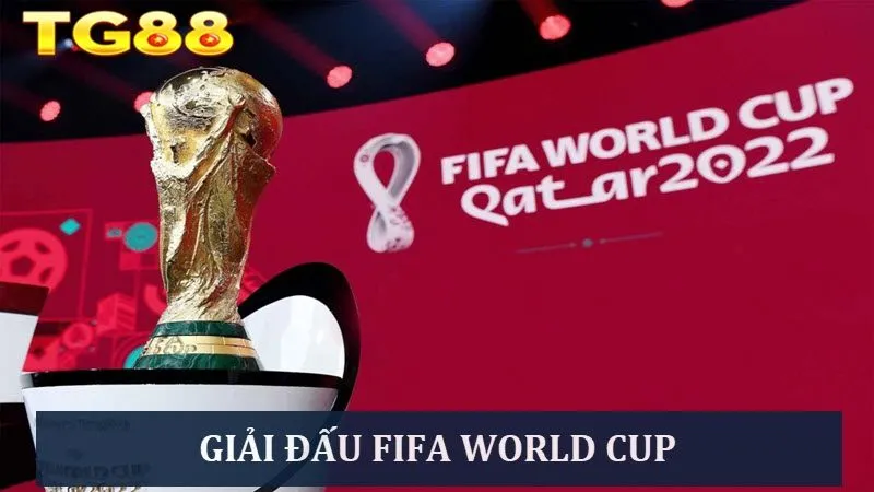 Khám phá giải FIFA World Cup đẳng cấp nhất thế giới