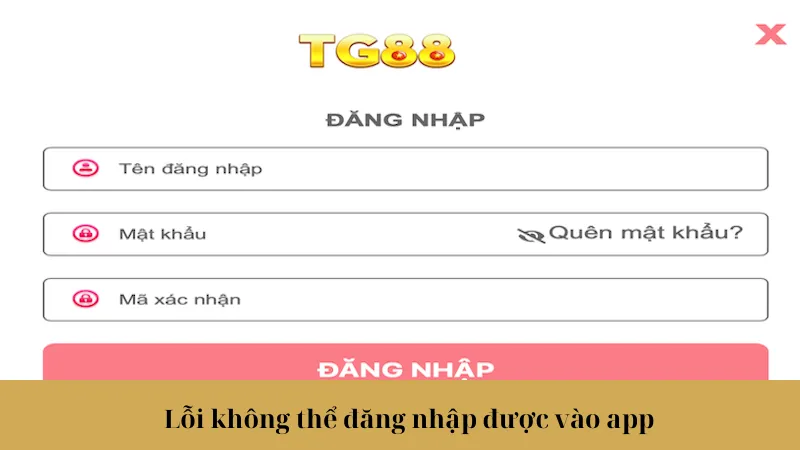 Lỗi không thể đăng nhập được vào app