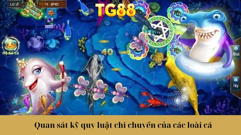 Quan sát kỹ quy luật chi chuyển của các loài cá