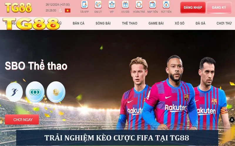 Theo dõi trận đấu, đặt kèo cược World Cup tại TG88