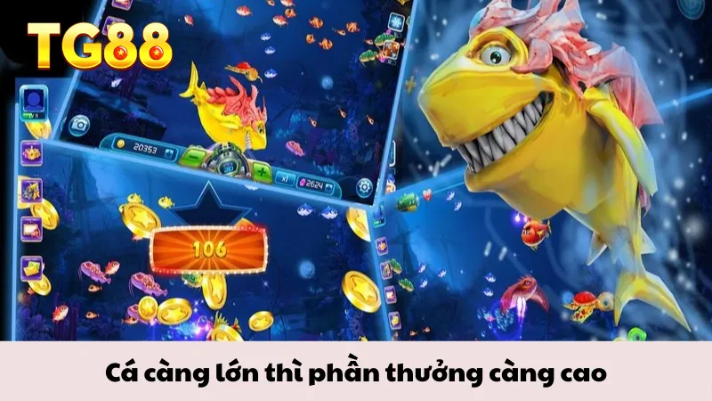 Cá càng lớn thì phần thưởng càng cao