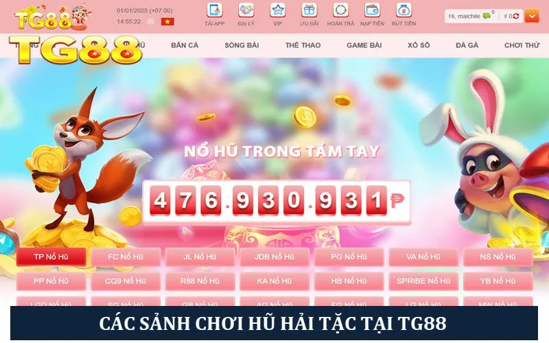 Các sân chơi slot Hải tặc tại nhà cái TG88