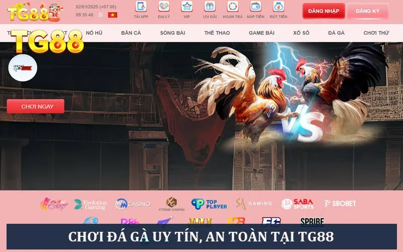 Chơi chọi gà an toàn, uy tín 100% tại nhà cái TG88